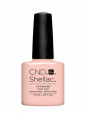 Shellac Unmasked