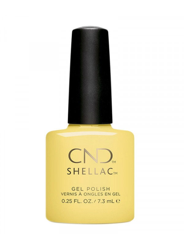 Shellac Jellied