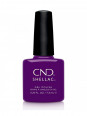 Shellac Temptation