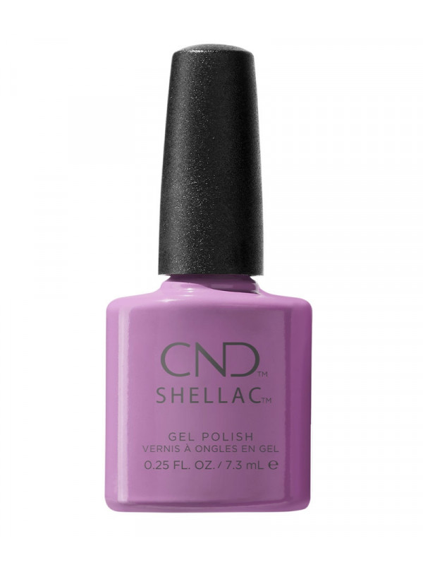 Shellac It's now oar Never