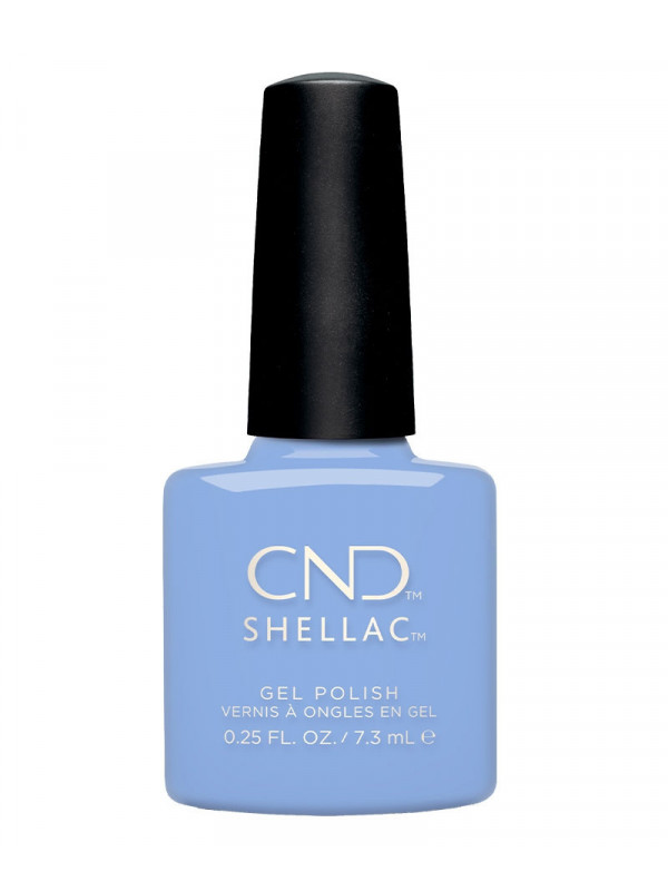 Shellac Chance Taker