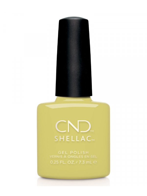 Shellac Mind Over Matcha