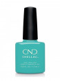 Shellac Oceanside