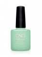 Shellac Mint & Meditation