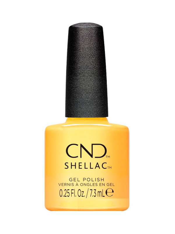 Shellac Sundial it Up