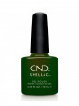 Shellac Forever Green