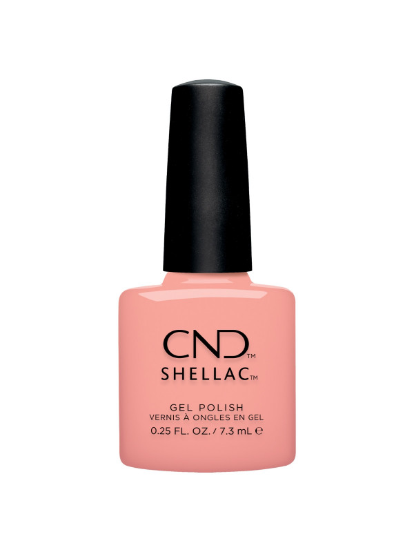 Shellac Sunrise Energy