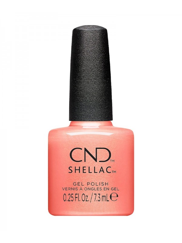 Shellac Apribot, collection dynamic duality 2024