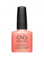 Shellac Apribot, collection dynamic duality 2024