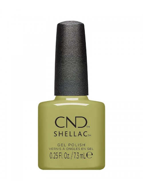 Shellac Plantbound, collection dynamic duality