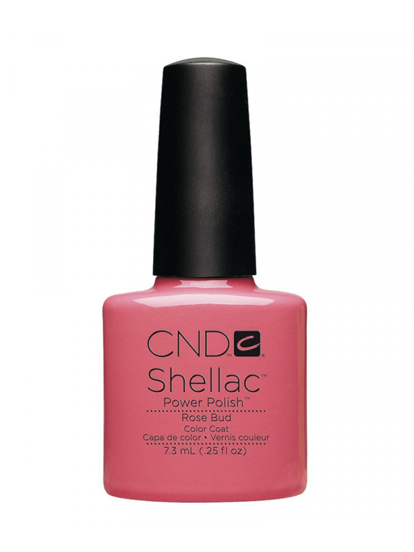 Shellac Rose Bud